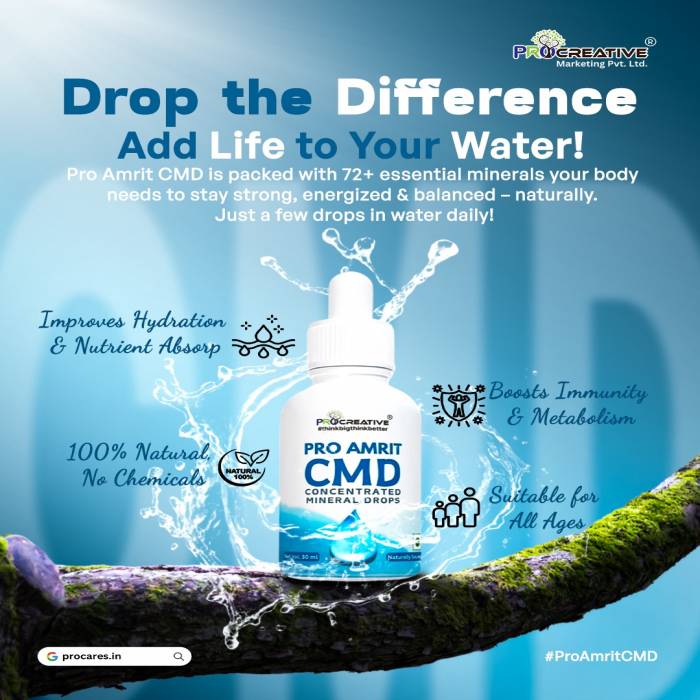 PV--PRO AMRIT CMD CONCENTRATED MINERAL DROP